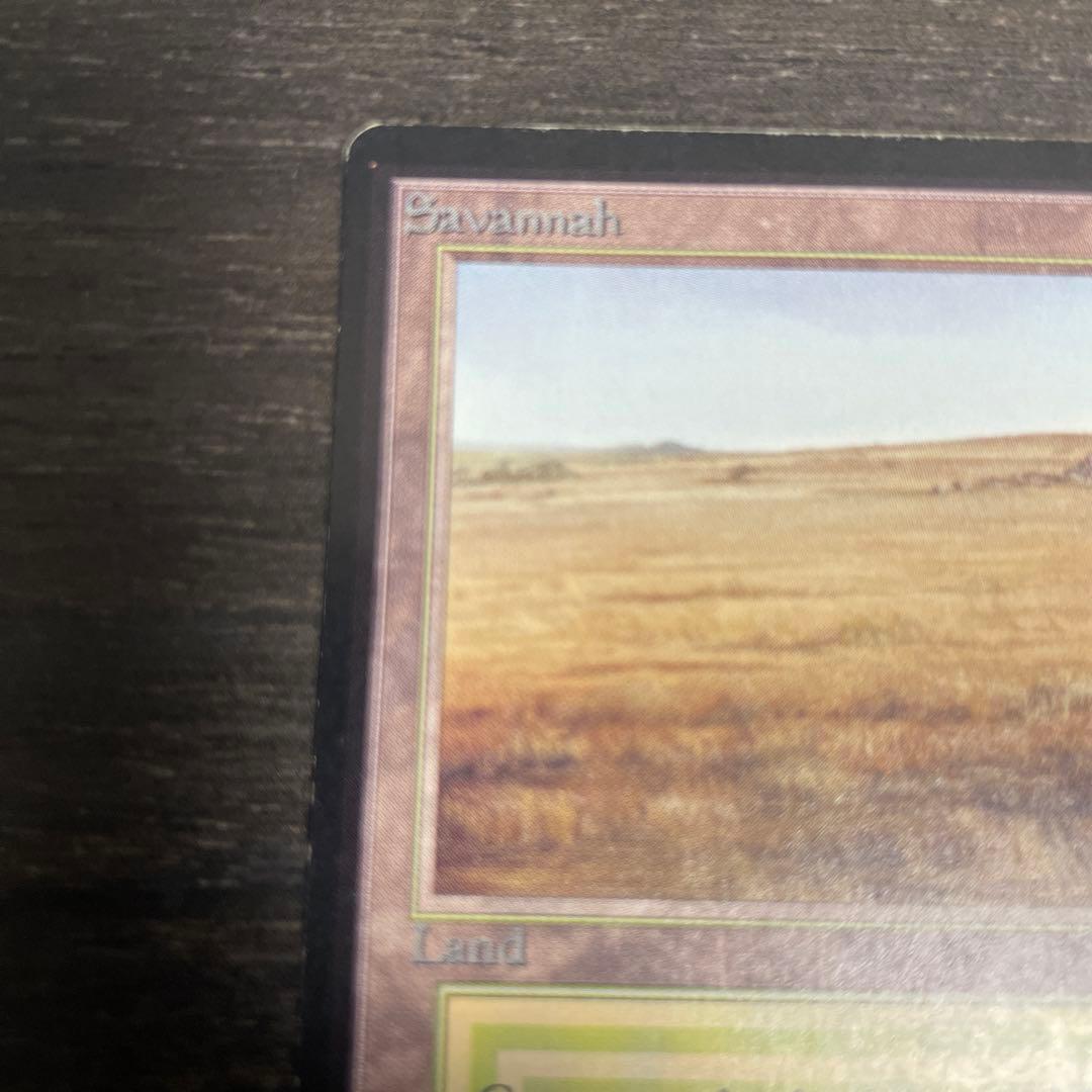 マジック：ザ・ギャザリング Savannah LEB signed