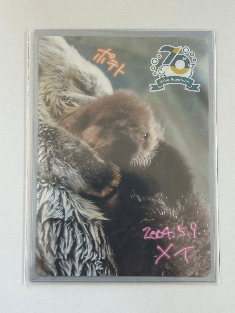 鳥羽水族館　コレクションカード　メイ　レアカード　ラッコ