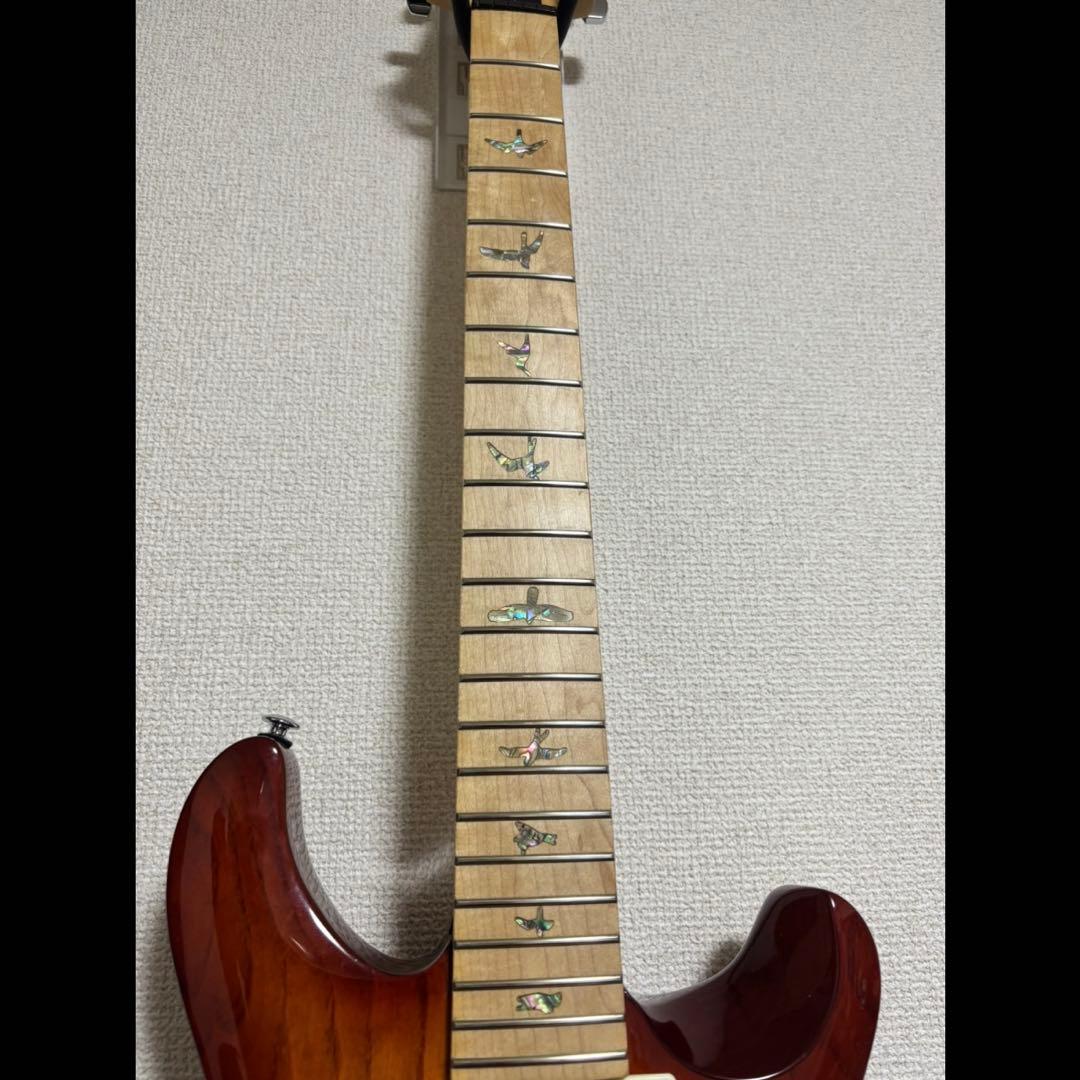 PRS SE Swamp Ash Special 3.5kg良個体2023年製 - メルカリ