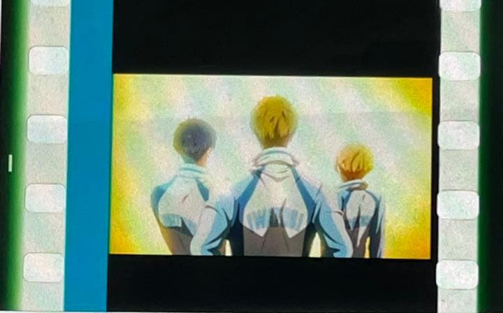 free! FS 4週目入場者特典 コマフィルム 葉月渚 橘真琴 竜ヶ崎怜