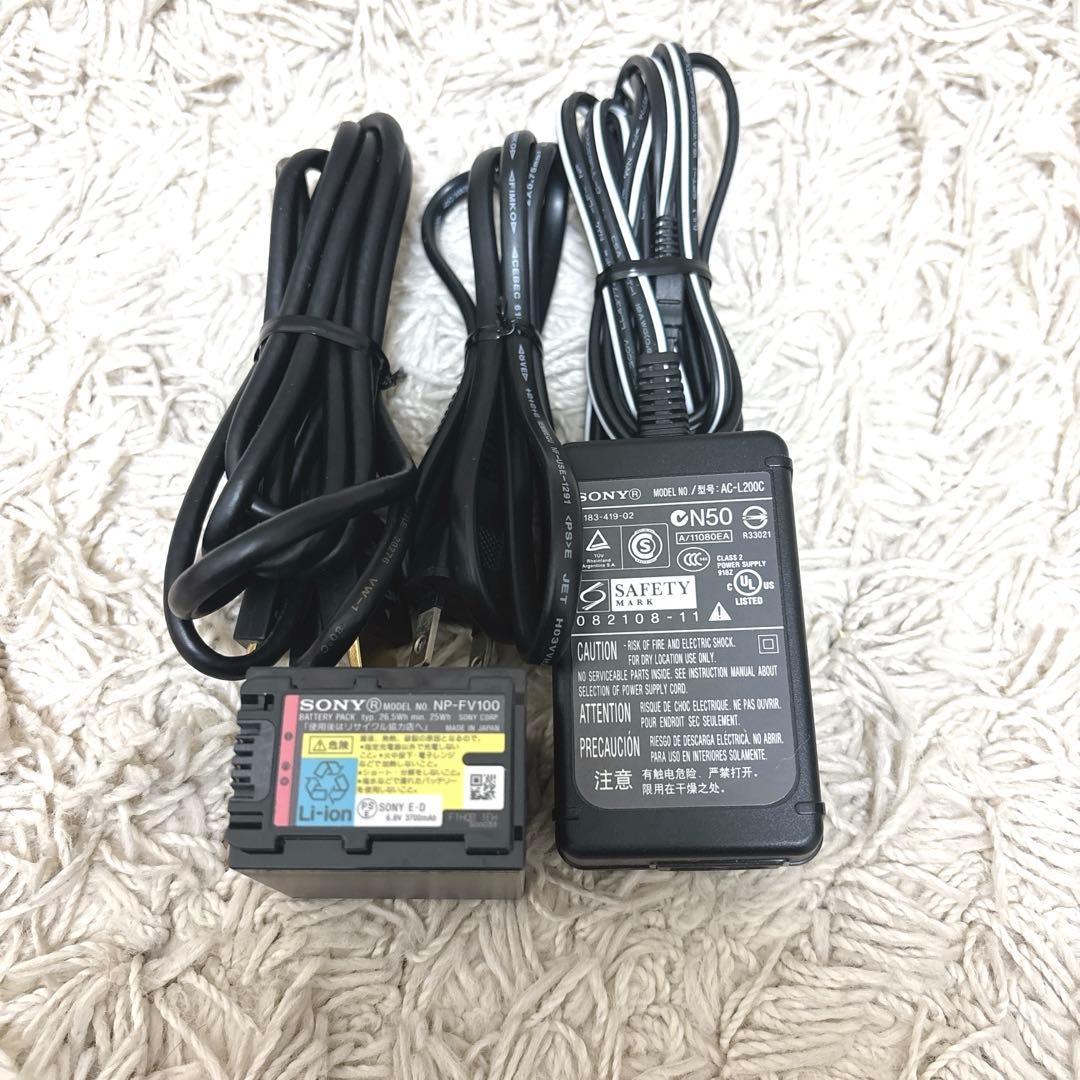 【極希少】SONY Handycam HDR-CX560v NP-FV100付き