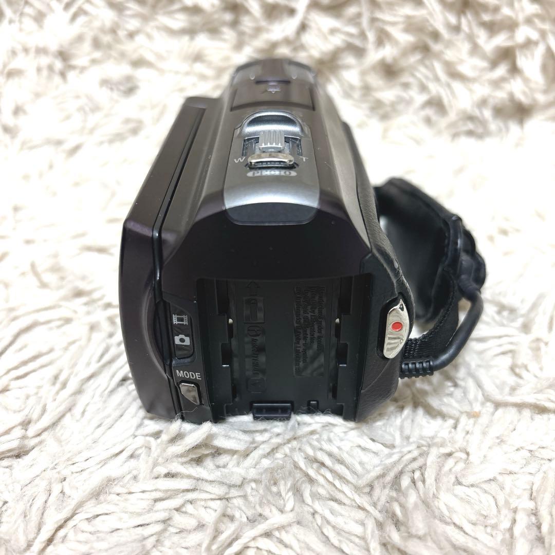 【極希少】SONY Handycam HDR-CX560v NP-FV100付き