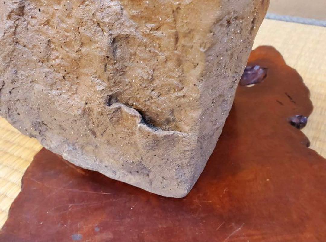 No122）山野草 水草 鉢 龍聖作 令6 No122）山野草 水草 鉢 龍