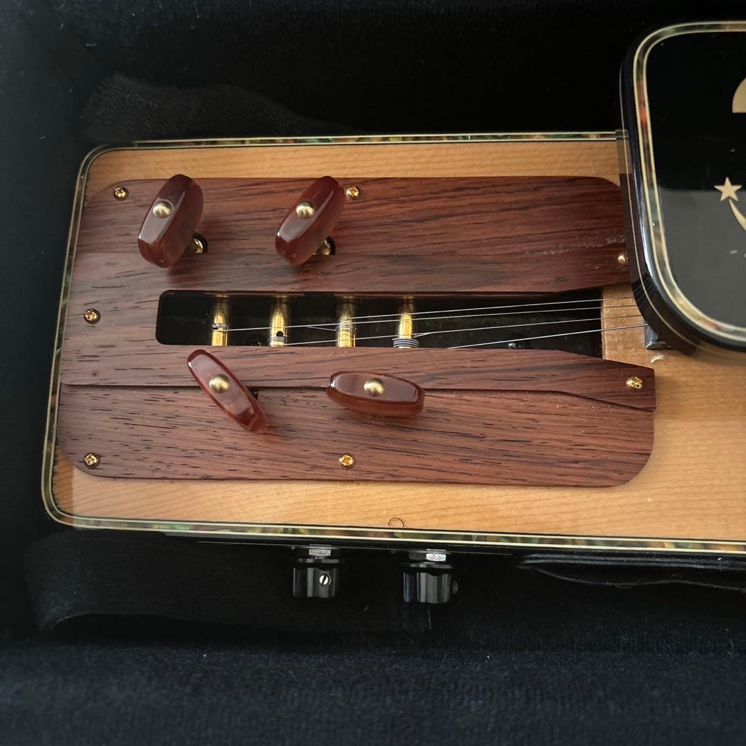 LYRISH ライリッシュ VEGA ベガ ソプラノ エレキ大正琴 OD113 - メルカリ