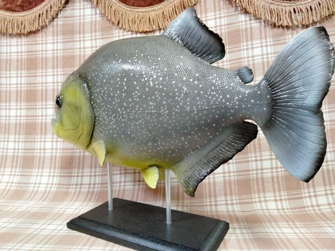 ハンドメイド48cmダトニオ シャムタイガーフィギュアレプリカ置物魚