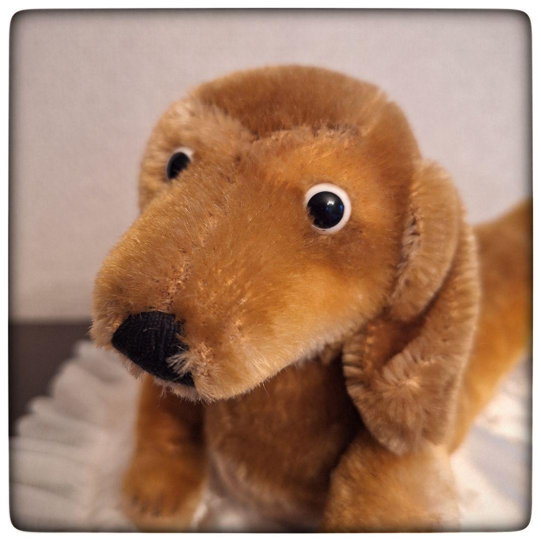 【ポンチ目 犬 ダックスフント】20cm フランス 犬 ヴィンテージ 茶色