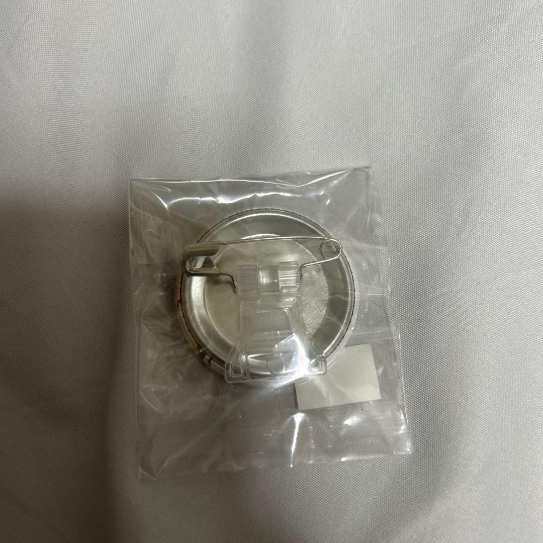 FAIRY TAIL 缶バッジ エルザ ジェラール ガチャトク