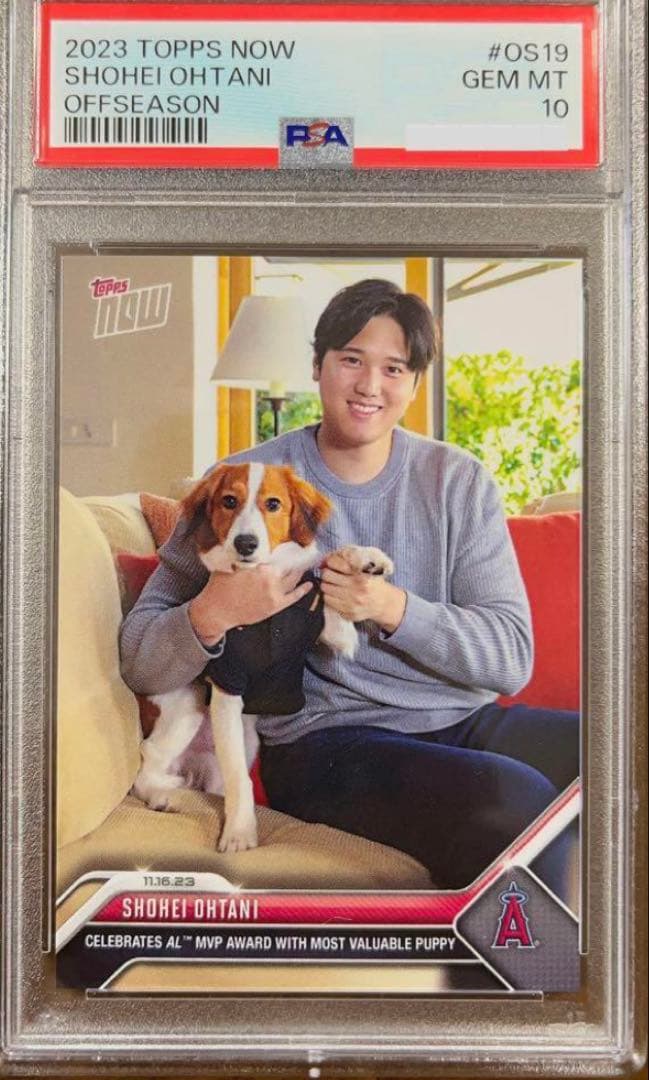 BBM 2013 ミスキャンパス 井内紗也香 直筆サインカード /105