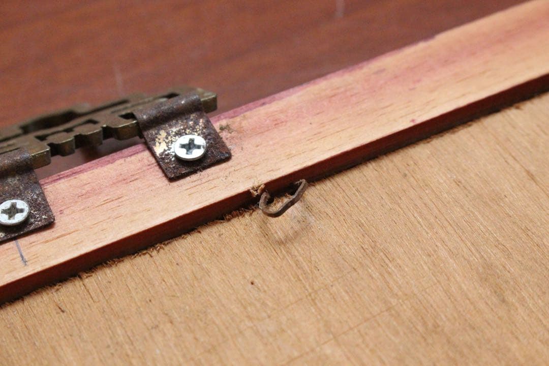 No4580 扁額装 墨彩画 人物図 書画 在銘 落款 肉筆紙本 絵画