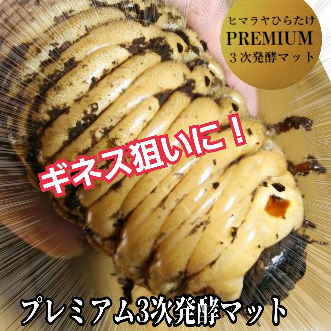 カブトムシ幼虫が巨大化！プレミアム3次発酵マット【200リットル】産卵