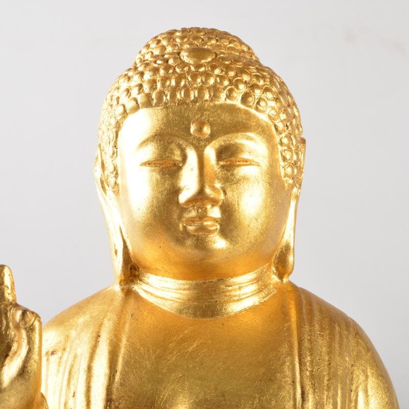 仏教美術 古銅鍍金 釈迦如来立像 仏像 V 5072A