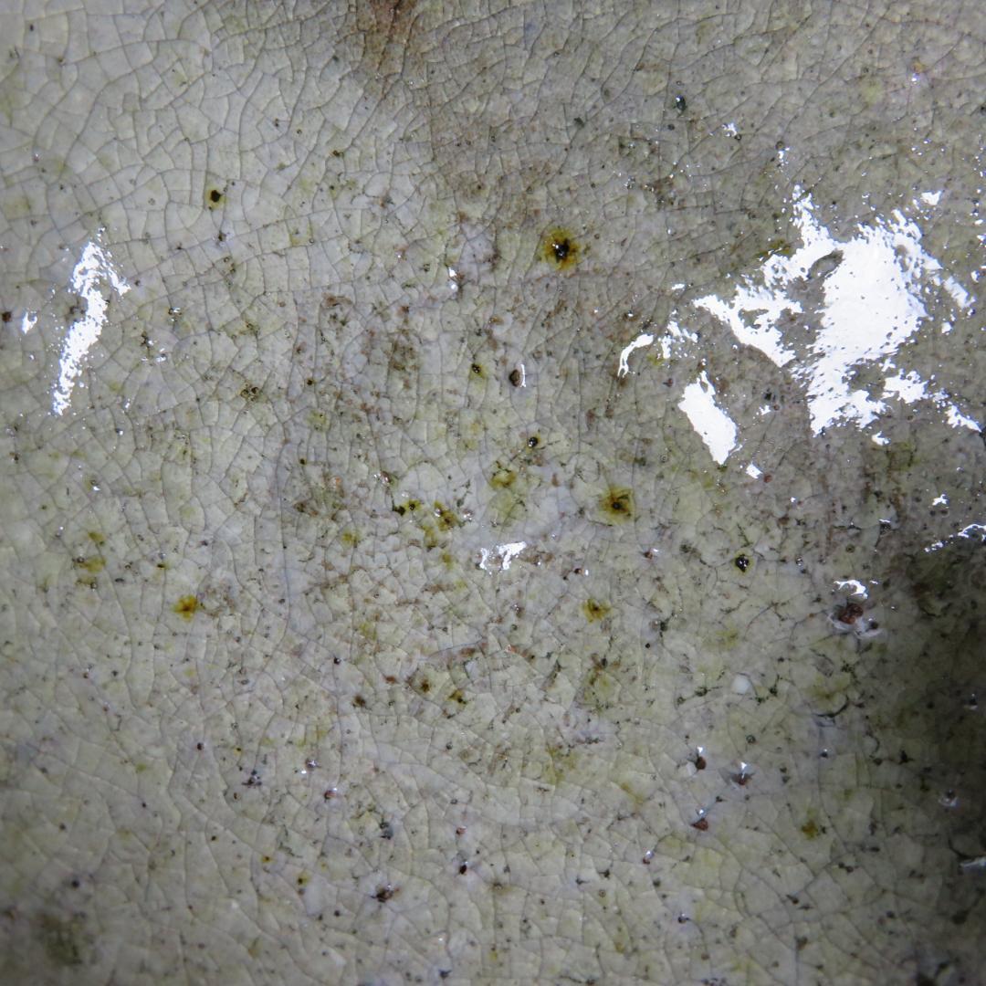 茶碗 井戸茶碗 抹茶碗 茶器 茶道具 木箱 共箱 質素 素朴 - メルカリ