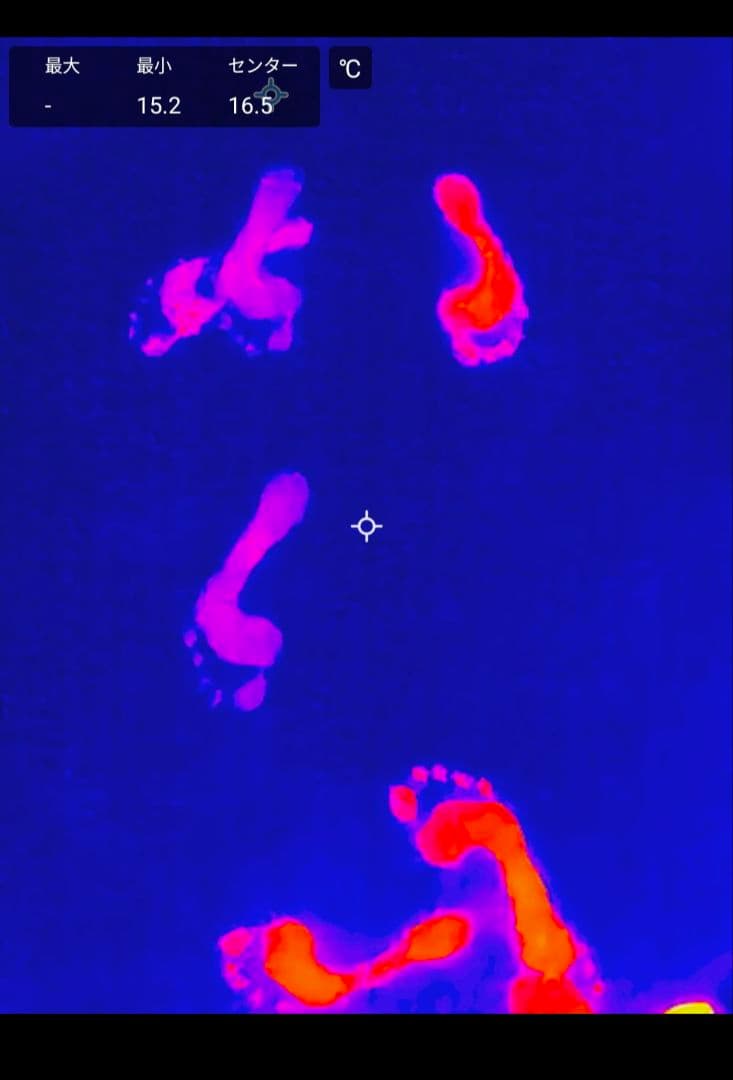 サーモグラフィカメラ　HIKMICRO Mini2 USB-C　赤外線カメラ