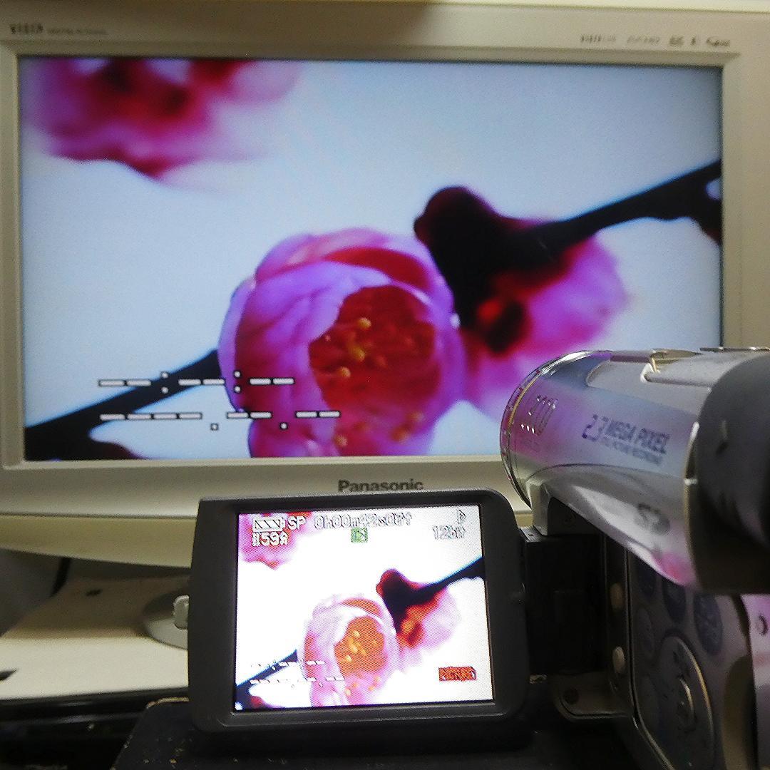 動作良好 パナソニック NV-GS200 MiniDVビデオDVDダビングに最適