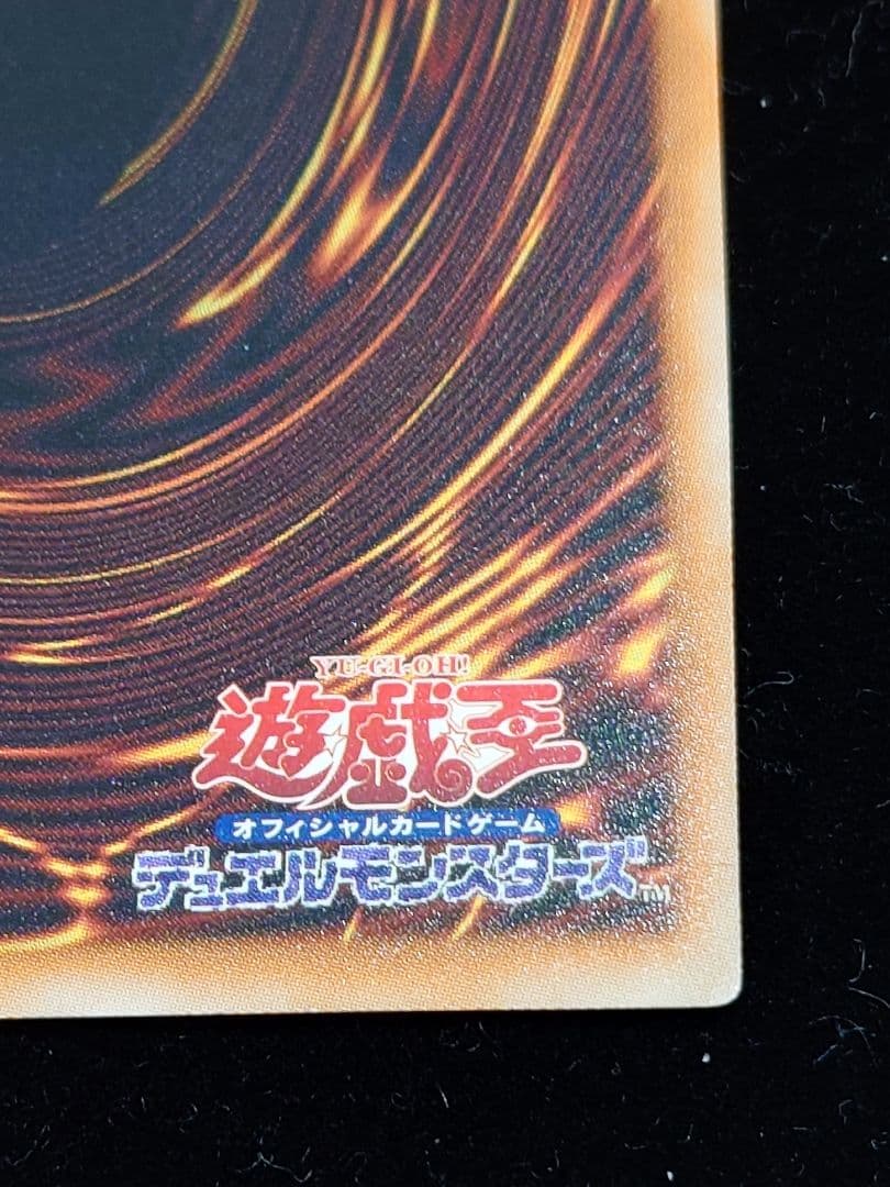 ブラック・ローズ・ドラゴン ホロ