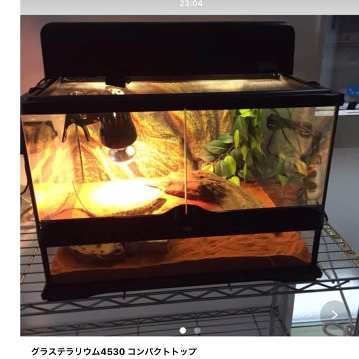 GEX グラステラリウム4530