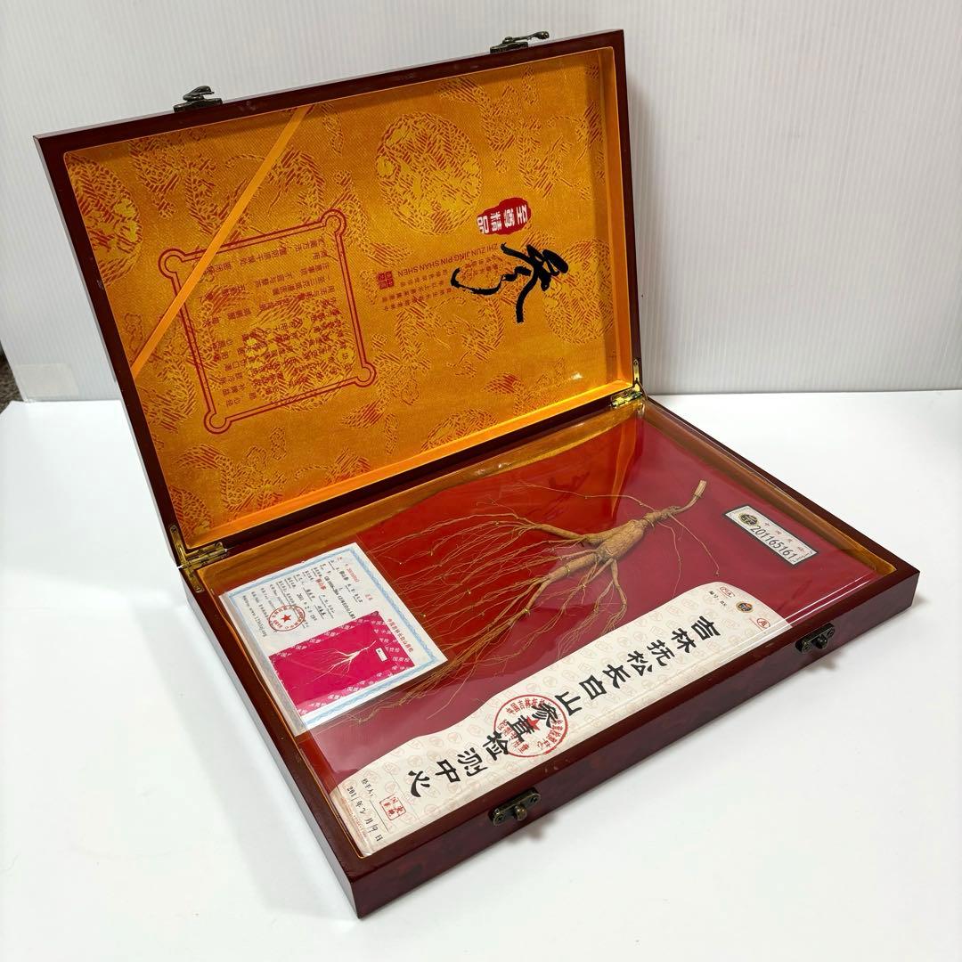 野山参 中国 高麗人参 鑑定書付き 吉林省産 高級野山参 健康 天然 皇室