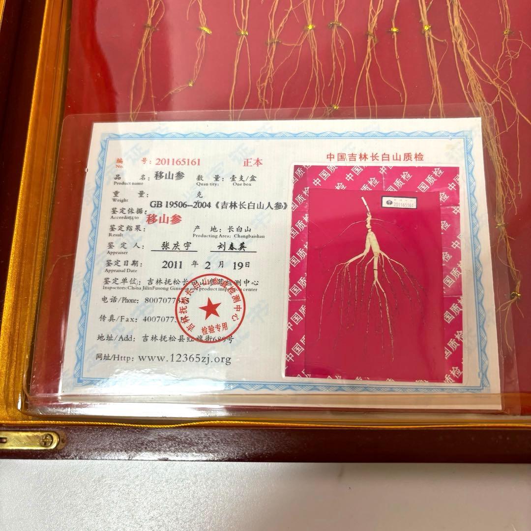 野山参 中国 高麗人参 鑑定書付き 吉林省産 高級野山参 健康 天然 皇室