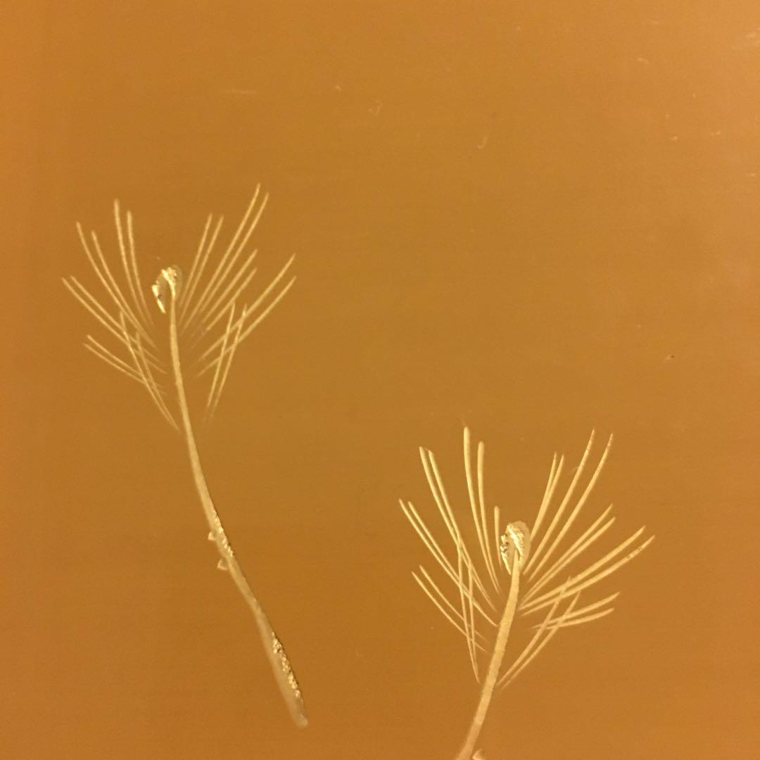 天然木製漆塗 輪島塗 黄漆塗沈金 角盆 芽松模様 本堅