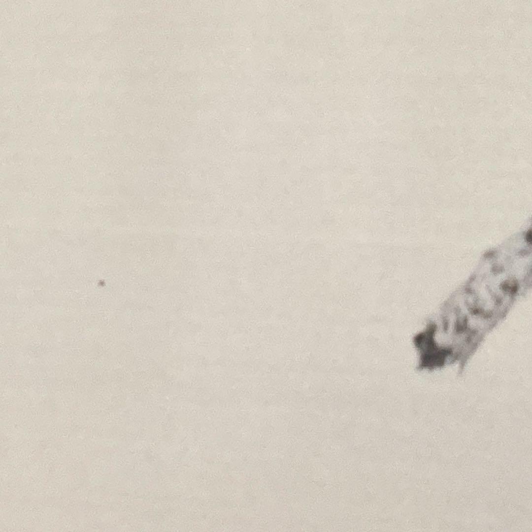 Supreme×ケイトモス コラボ ポスター シュプリーム 額縁