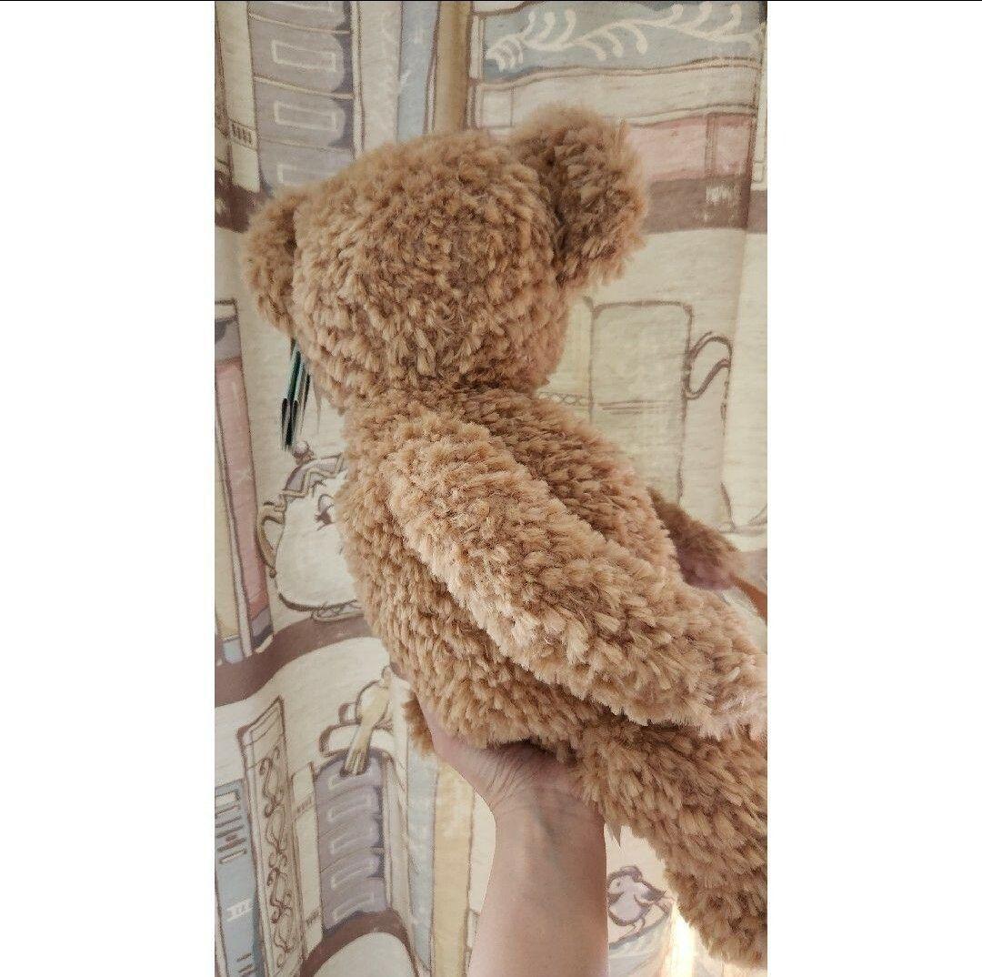 日本未発売 ダッフィー ぬいぐるみ リュック ディズニーワールド購入品