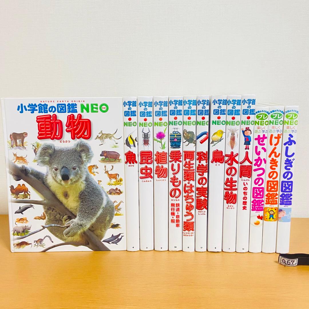 新版 小学館の図鑑NEO シリーズ13冊セット 小学舘の図鑑NEO 13冊
