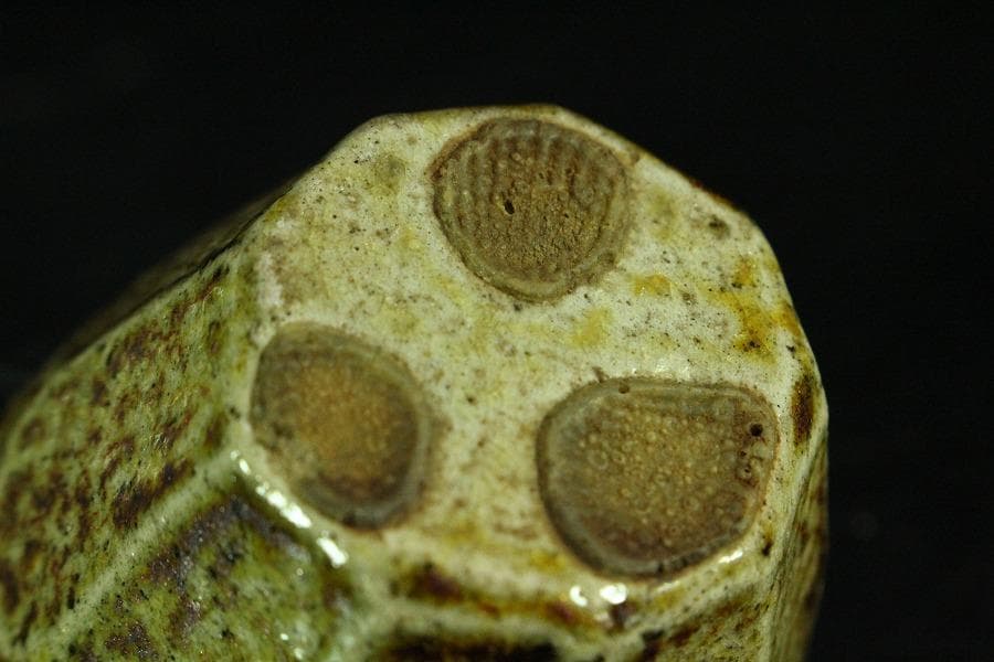 古い 唐津 萩 益子 ぐい呑 四件 まとめて(K-YC380)