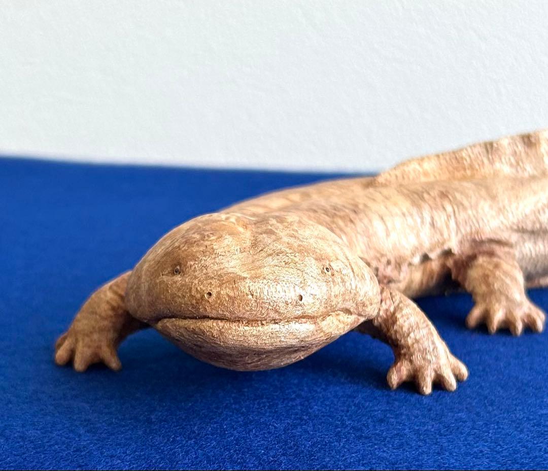 田中鱗水 メープル瘤材彫オオサンショウウオ 26cm 125.52g 神代杉台付