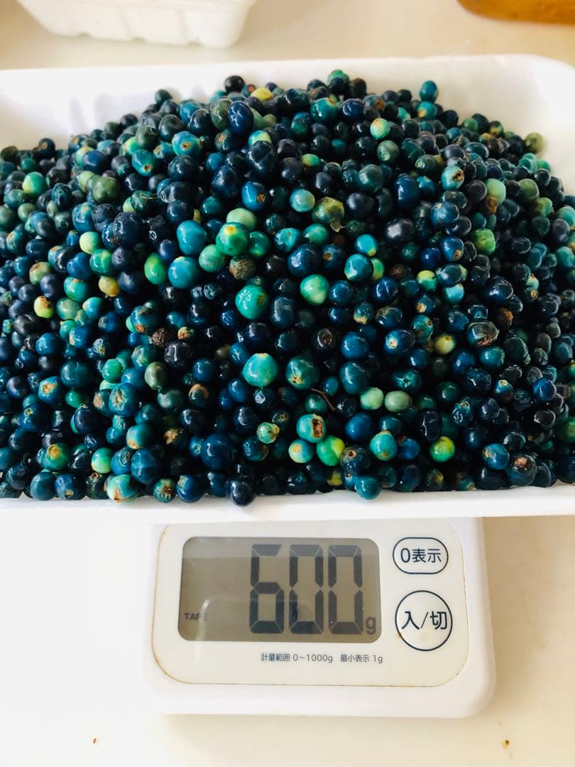 クサギの実　草木染め 合計1,160g