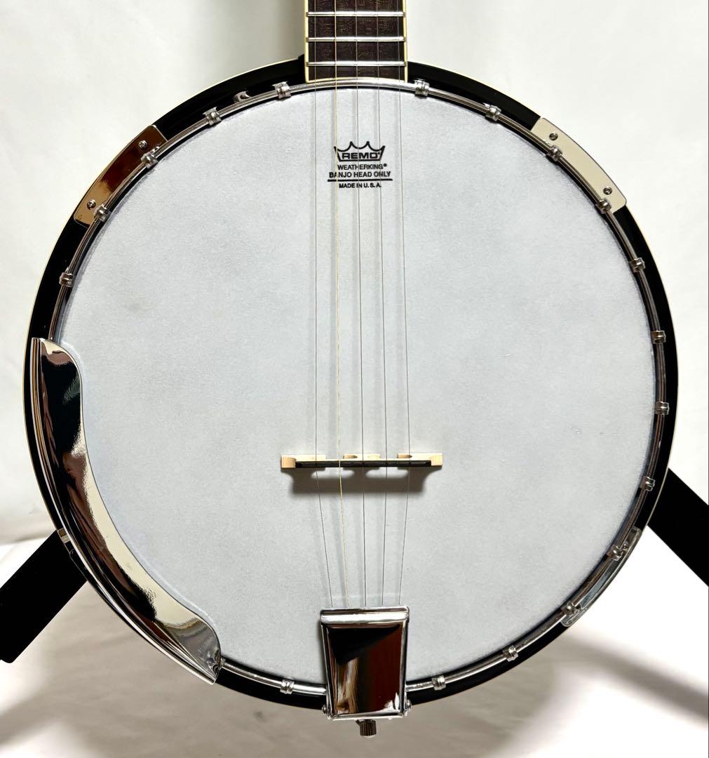 【美品】Aria 5弦バンジョー SB-100