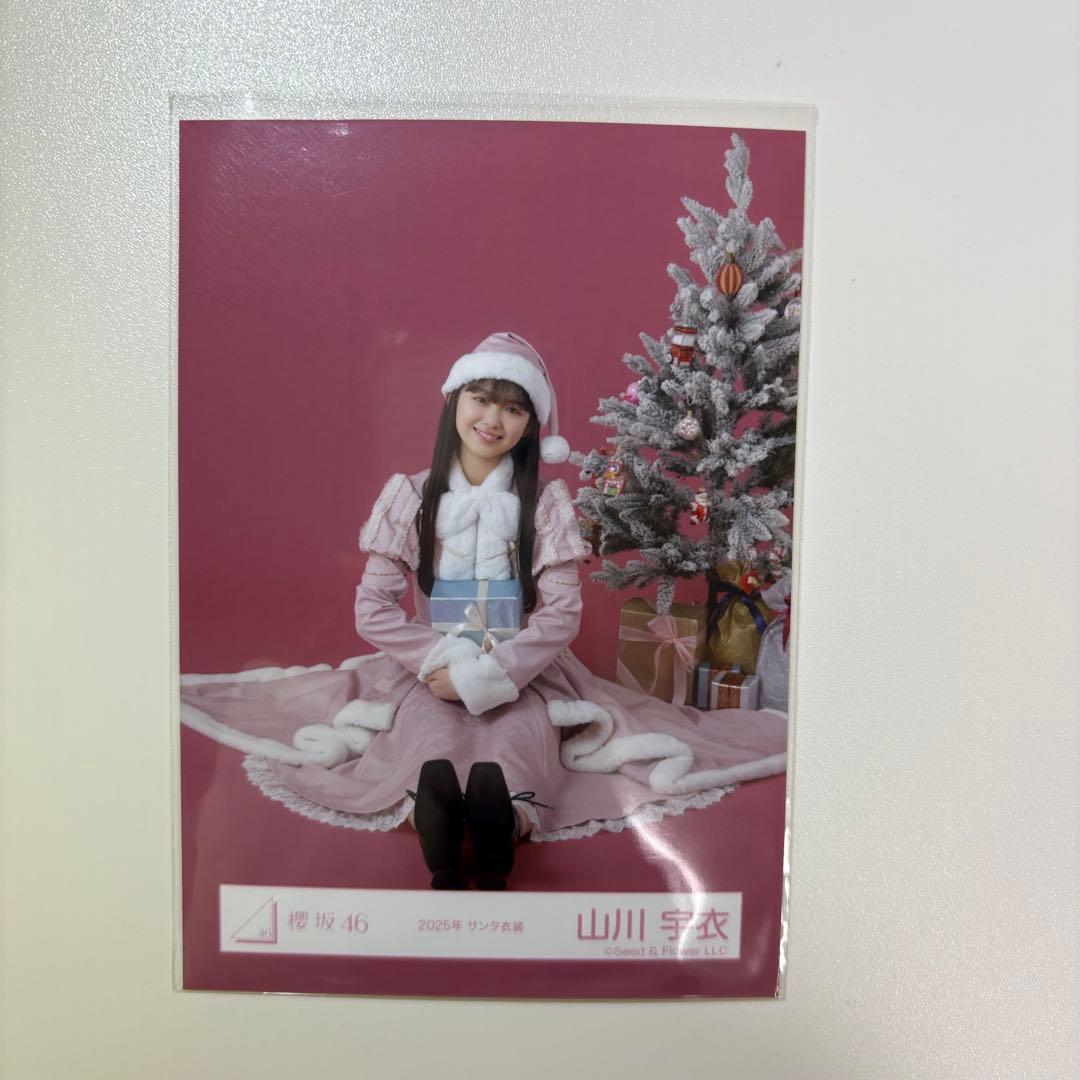 櫻坂46 山川宇衣 2025 サンタ衣装 生写真 - メルカリ