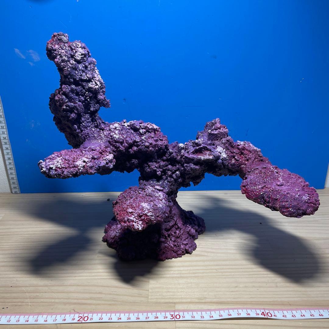 人工ライブロックSHR24 アク抜き済み安心塗料使用