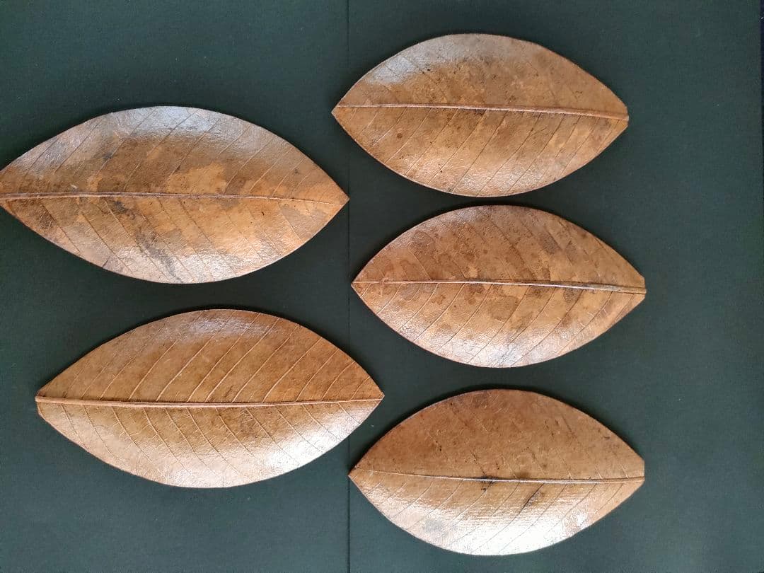 ○天然葉 プレスプレート 葉皿 5枚組アートオブジェ民藝ハンドメイド