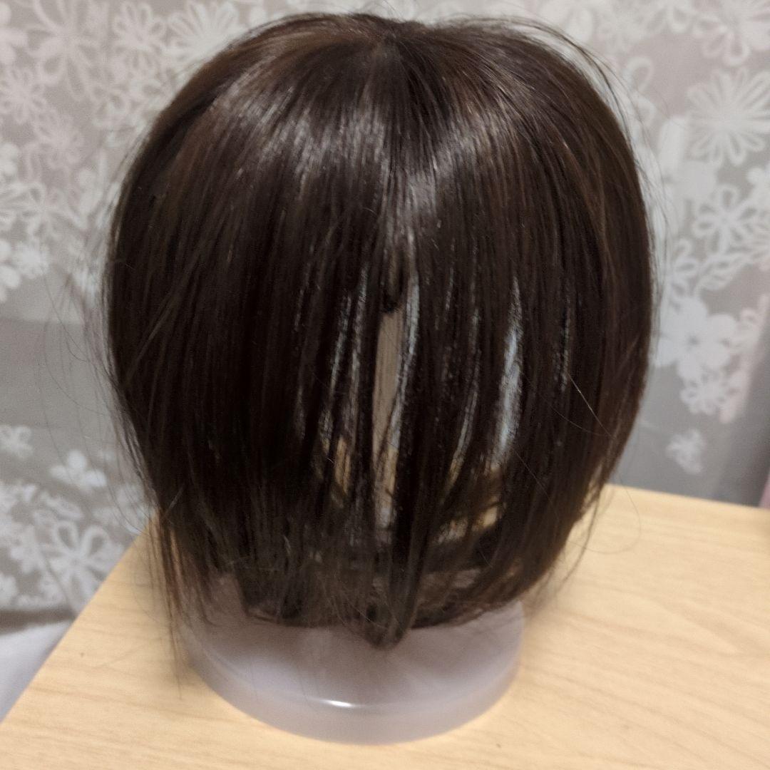 MALIBU ダークブラウン ショートウィッグ クリップ式　部分ウィッグ