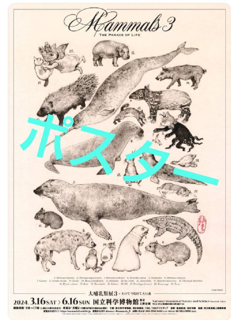 国立科学博物館 大哺乳類展3 ヒグチユウコさん ポスター 美品 大哺乳類展3