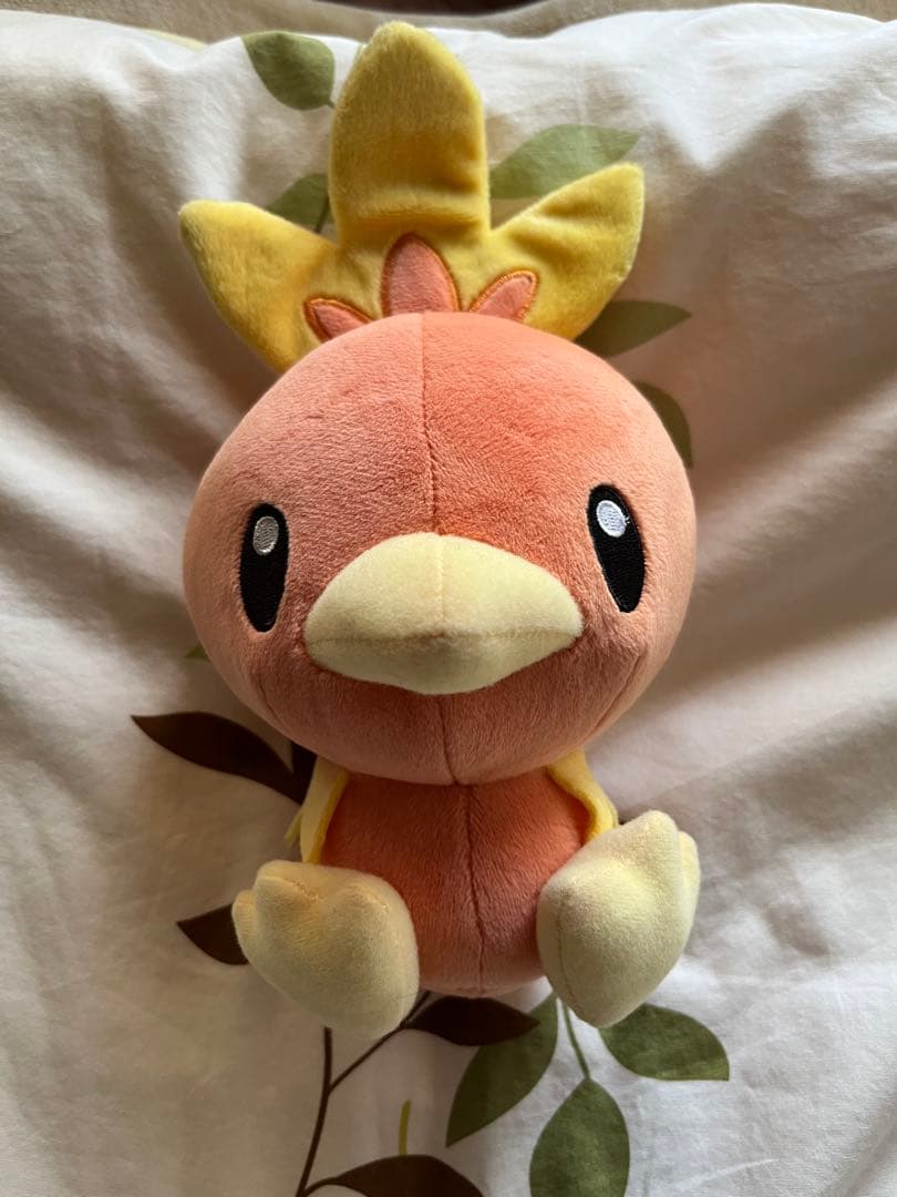 ポケモン キモリ アチャモ ミズゴロウ ぬいぐるみ