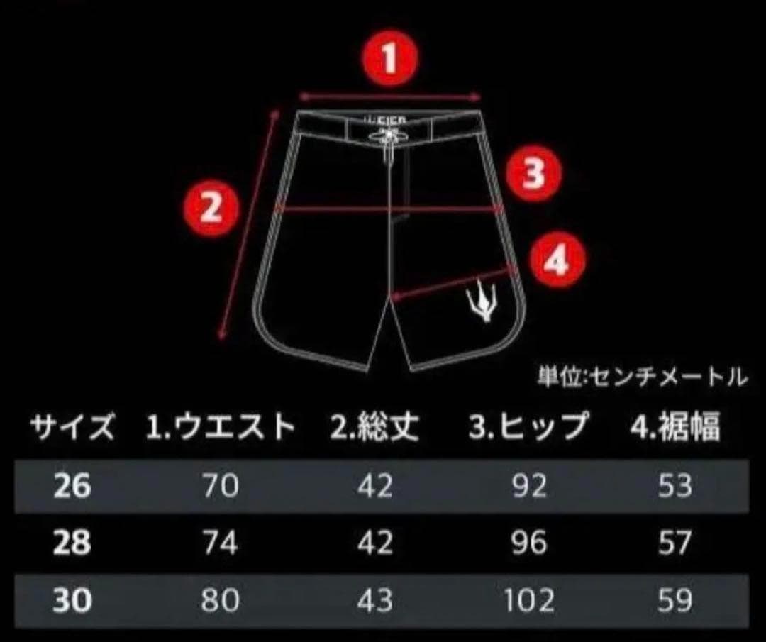 FIED ファイド サーフパンツ メンズ フィジーク ホワイトストライプ 水着