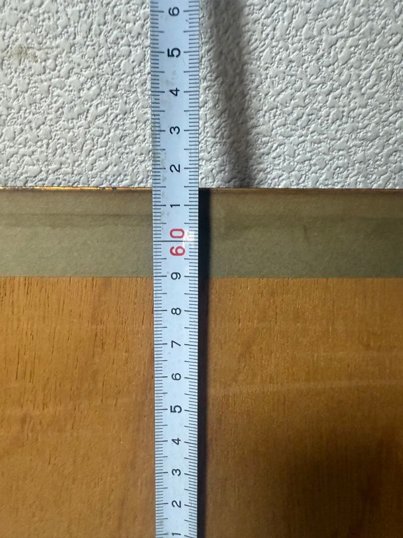 ジャン＝エミール・ラボルール 【昆虫学者 (L' Entomologiste】 - メルカリ