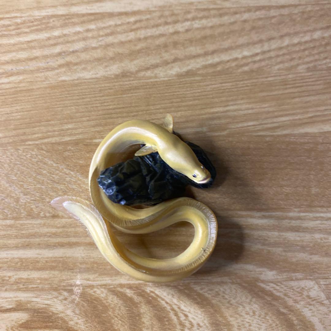 中古】YUJIN 原色淡水魚図鑑 イワナ ウナギ 大正三色 - メルカリ