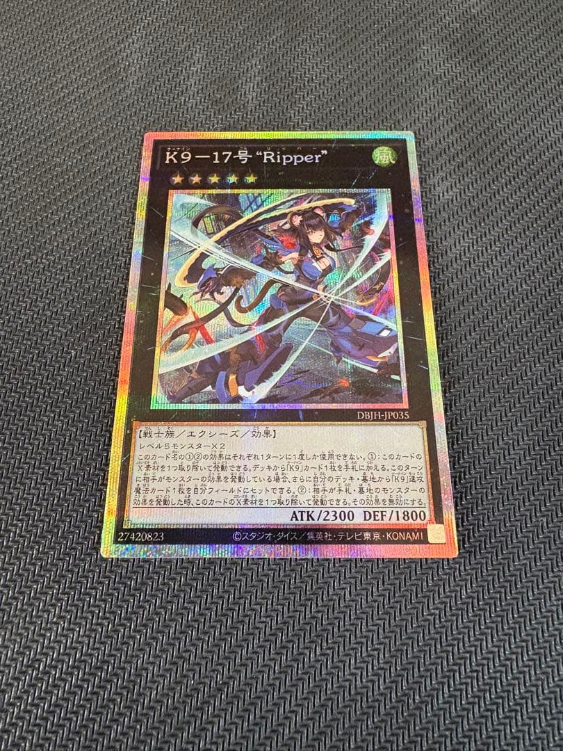 K9-17号 Ripper プリシク