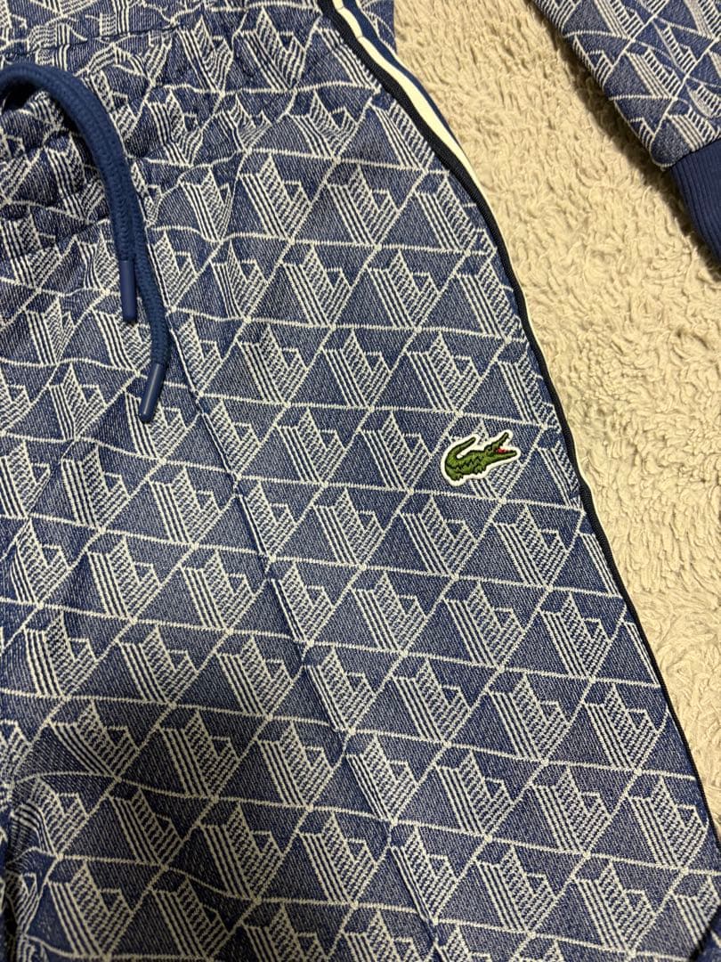 ラコステ セットアップ ブルー