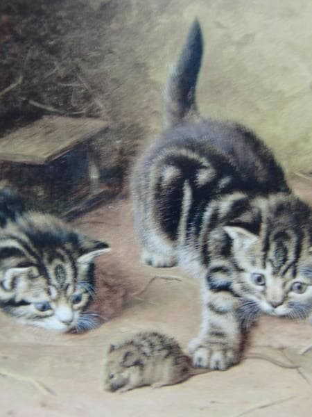 少画集画、高級新品額・額装付、猫 ネコ ねこ cat