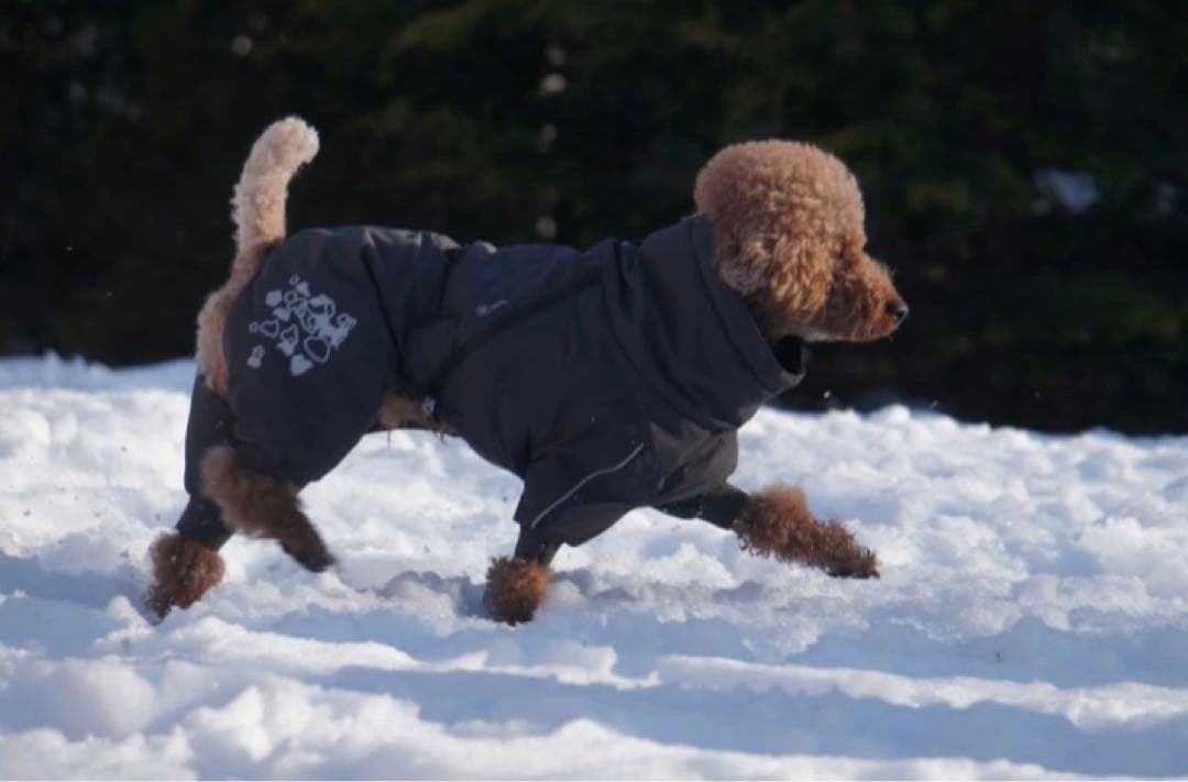 フィンランドのドッグブランド【Hurtta】エクストリームオーバーオール小型犬用 フィンランドのドッグブランド【Hurtta】【フルッタ】フルッタ史上最強