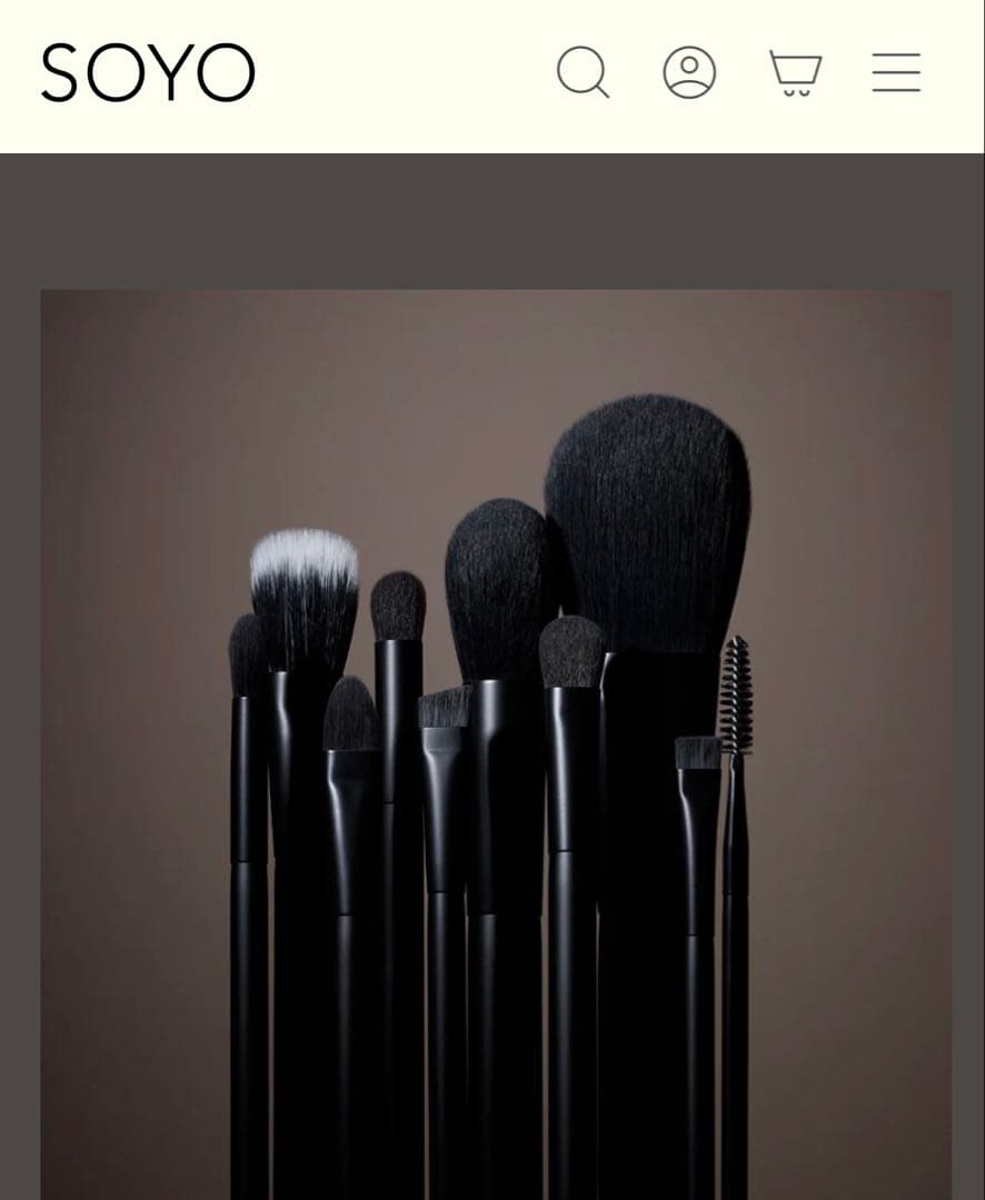 SOYOブラシ10本セット