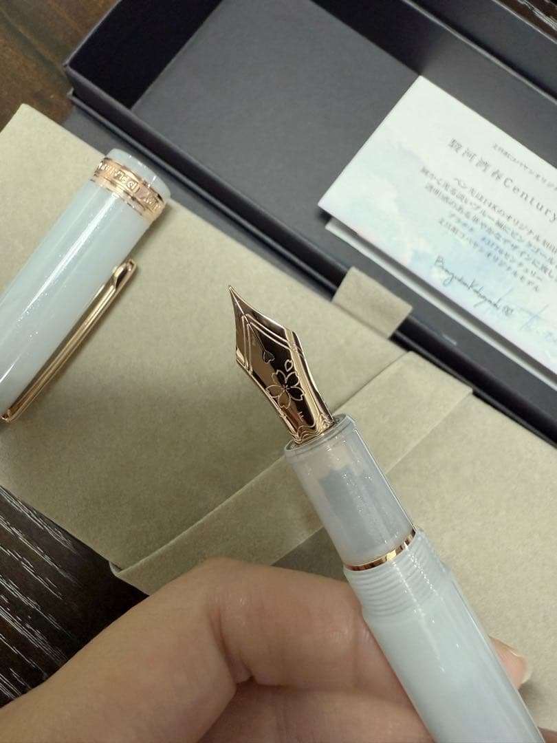 オリジナル万年筆駿河湾春 century2025 字幅F オリジナル万年筆駿河湾