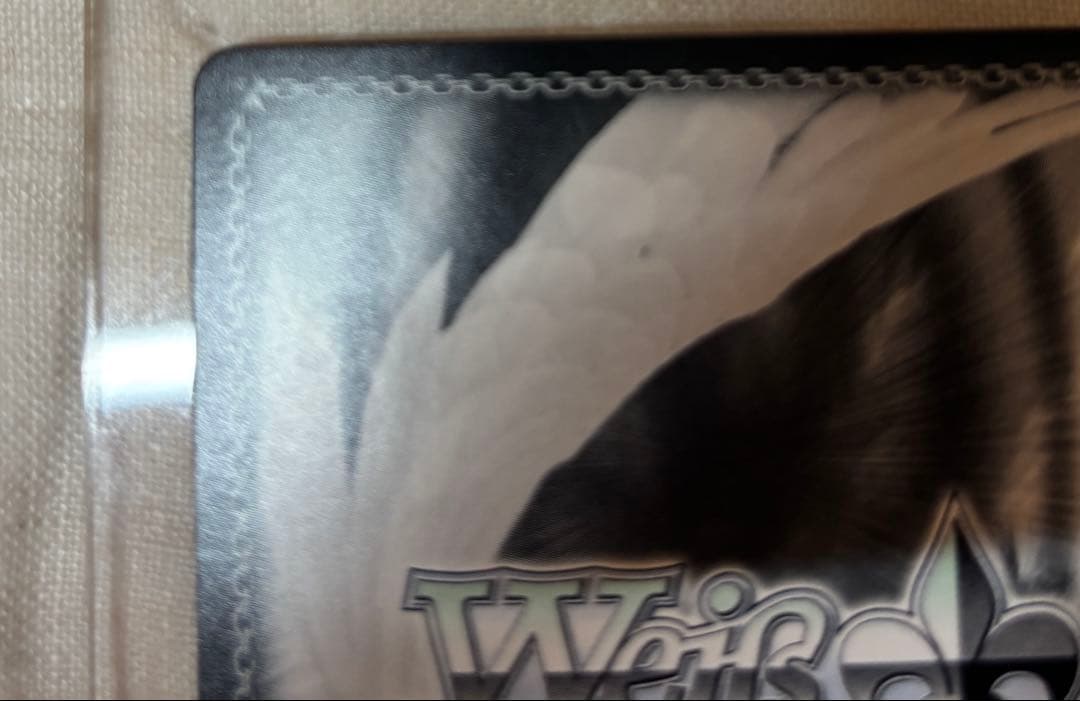 時々ボソッとロシア語でデレる隣のアーリャさん SP