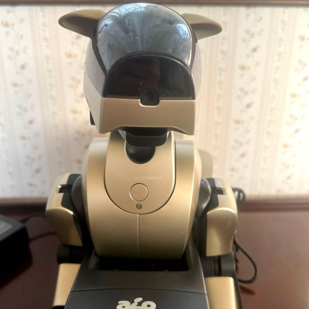 ソニーSONY アイボAIBO ERS-210 犬型ロボット　ゴールド　付属品付