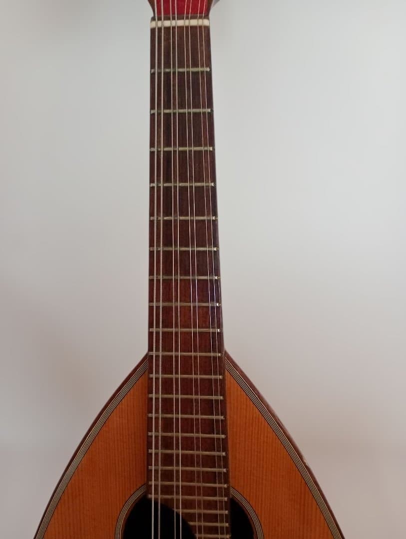 Calaceカラーチェ Mandolinマンドリン【No.24】