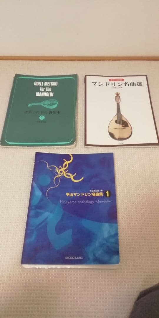 Calaceカラーチェ Mandolinマンドリン【No.24】