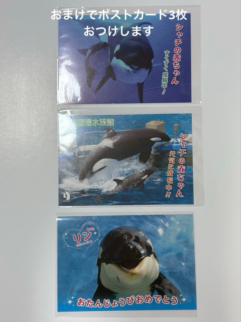 レア・ラスト1点】名古屋港水族館 シャチ リンちゃん ステラ ポスター